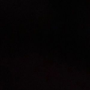 Meet your Posher, Isabella